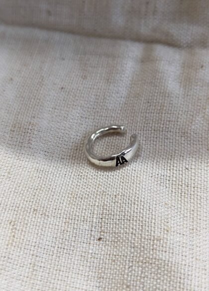 Earcuffs and Earrings