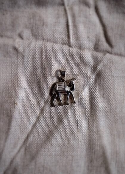 The Survivor of the Desert